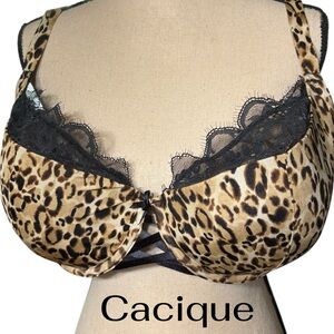 Cacique-NWT 42DDD French Balconette Bra. Lace/Leopard. Underwire. New with tags!